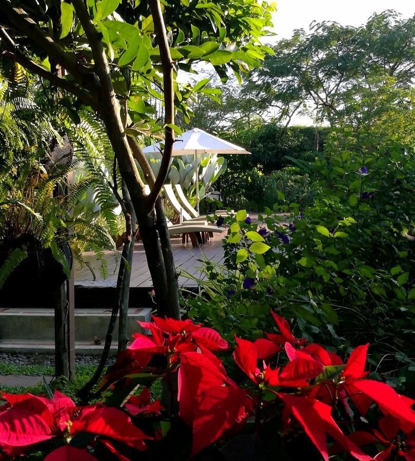 Villa Albizia, Chiang Mai Doi Saket Extérieur photo